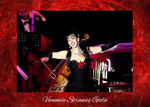 Viennese Strauss Gala portfolio