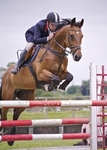 Equestrian Events 2010