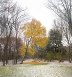 Outside Myself - Recovery portfolio