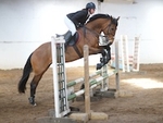 LINK_TO Barton4thApril'15 T'blazersShowJumping portfolio