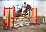 LINK_TO - BartonEC Sat7thJune'14 UnaffiliatedShowJumping portfolio