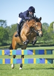 LINK TO - Lancaster_Pony_Club Open_May_Day_Show Mon_2nd_May_'11 Show_Jumping_Classes portfolio