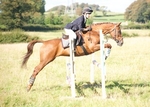 LINK TO - LancasterPonyClub 7thSept'14 portfolio