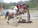 LINK_TO Northcote22ndFeb'15 Grub'sArenaEventing portfolio