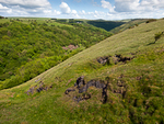 Deep Dale Nature Reserve portfolio