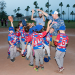 RT T-Ball 2019 portfolio