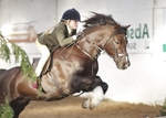 LINKS TO - Equestrian Events Jan '12 portfolio