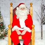 Visitor From the North 2019 portfolio