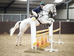 LINK_TO Northcote Sun3rdApril'16 NSEA_Jumping portfolio