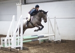 LINK TO - Barton EC Wednesday_22nd_June_'11 WedNightShowJumping portfolio
