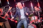 THE LITTLE BIG BAND portfolio