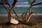 Winter light in the Cyclades portfolio