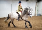 LINK TO - BartonEC Sun24thFeb'13 Garstang&District Horse&PonyClubShow portfolio