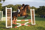 LINK TO - Barton EC, Wednesday_13th_July_'11 Wed_Night_Show_Jumping portfolio