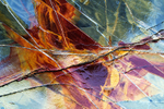 Detail in Landscape portfolio
