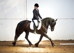 LINK_TO - BartonEC Sat17thMay'14 Dressage portfolio