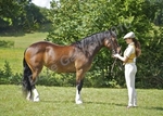 LINK TO - Barton EC, Summer Riding Club, Sun 11th July '10. portfolio