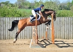 LINK_TO HarrogateRC Sun21stApril'19 EasterShowDay3 Snr.BSJumping portfolio