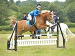 LINK_TO LancasterPonyClub AreaShowJumping Sun30thJune'19 portfolio