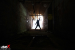 80. Nocton Hall portfolio