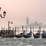 Venice portfolio