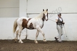 LINK TO - Barton EC, Winter Riding Club, Sunday 3rd October 2010 portfolio