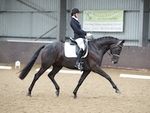 LINK_TO Northcote BritishDressage 30thAugust'15 portfolio