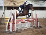 LINK_To - Barton Sat2ndApril'16 Unaff.Jumping portfolio