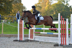 Bicton BS Show October 2017