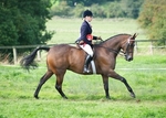 LINK_TO - BartonEC Sunday22ndSept'13 Garstang&District HorseAndPony RidingClub portfolio