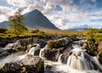 Glencoe portfolio