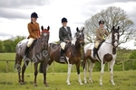 LINK TO - Barton Summer Riding Club, Sunday 9th May '10 portfolio