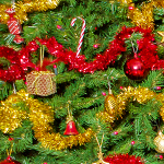 RTGC / RTYC End of Season Dinner 2019 portfolio