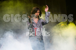 PRIMAL SCREAM portfolio