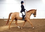 LINKS TO - Equestrian Events March'13 portfolio