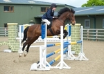LINK_To - Northcote Sunday11thMay'14 Unaff.ShowJumping (JuniorsOnly) portfolio