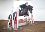 LINK_TO BartonUnaff.Jumping 9thJan'16 portfolio