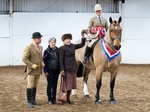 LINK TO - BartonEC Sun14thApril'13 BSHA_SpringShowDay2 portfolio
