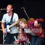 CAGE THE ELEPHANT portfolio