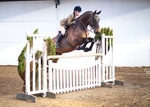 LINKS TO - Equestrian Events April'13 portfolio