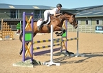 Northcote Unaff.Jumping 25thAug'19 portfolio