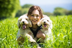Mallow and Masie at Hawthorn Dene portfolio
