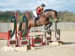 LINK_TO HarrogateRC Sun24thMarch'19 ArenaShowX portfolio
