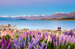 New Zealand portfolio