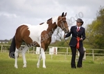 LINK TO - Barton In Hand Qualifiers for Equifest, 16th May '10 portfolio