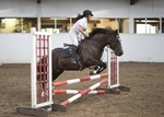 LINK TO - Barton EC Wednesday_15th_June_'11 WedNightShowJumping portfolio