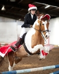 LINK TO - BartonEC_Sun23rdDec'12 WinterRC_ShowJumping portfolio