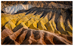 Desert Vision portfolio