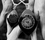 Whitby Jet Pendants Ammonite Inlay portfolio