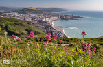 Mid & South Wales images portfolio